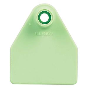 AgriTag Blank Medium Cattle ID Tags Agrilabs